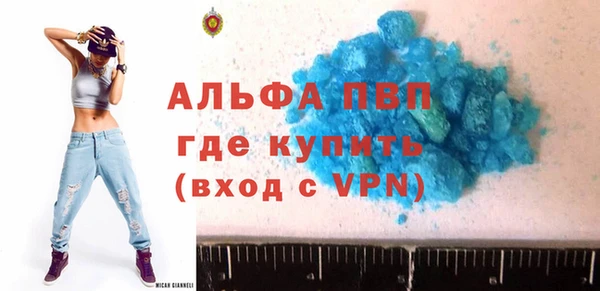 spice Аркадак