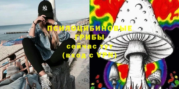 метадон Арсеньев