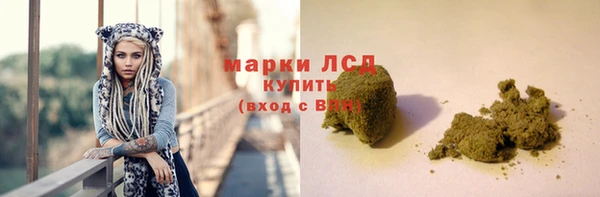 spice Аркадак