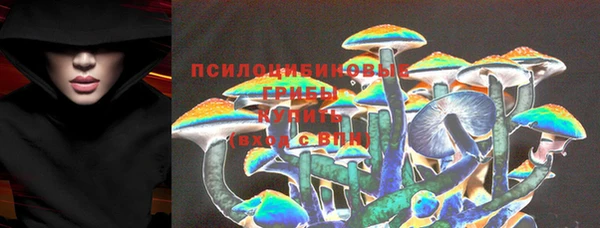метадон Арсеньев