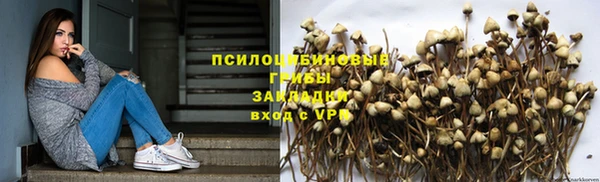 метадон Арсеньев