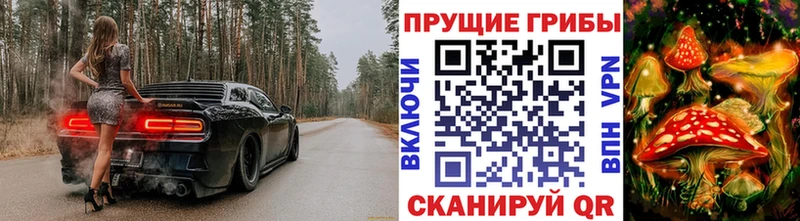 Псилоцибиновые грибы мицелий  Бахчисарай 